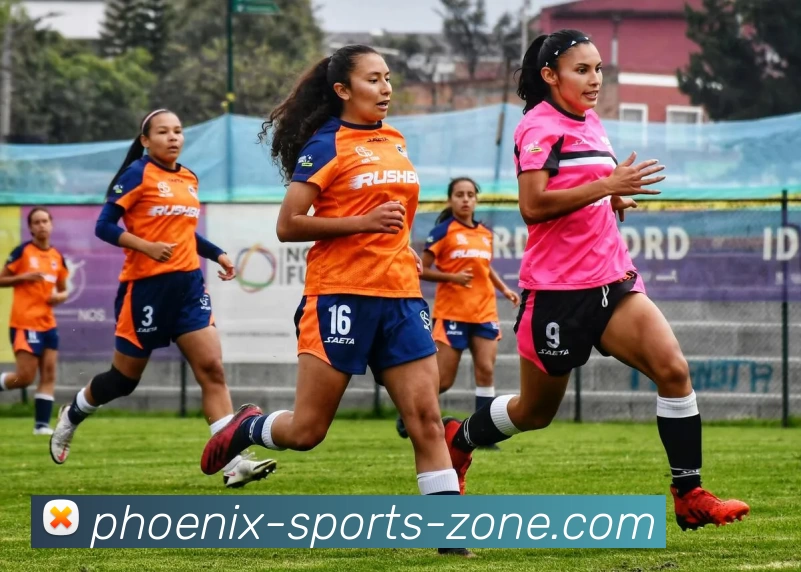 凤凰体育地带品牌故事