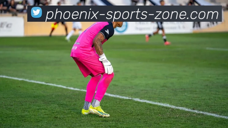 凤凰体育地带服务体系